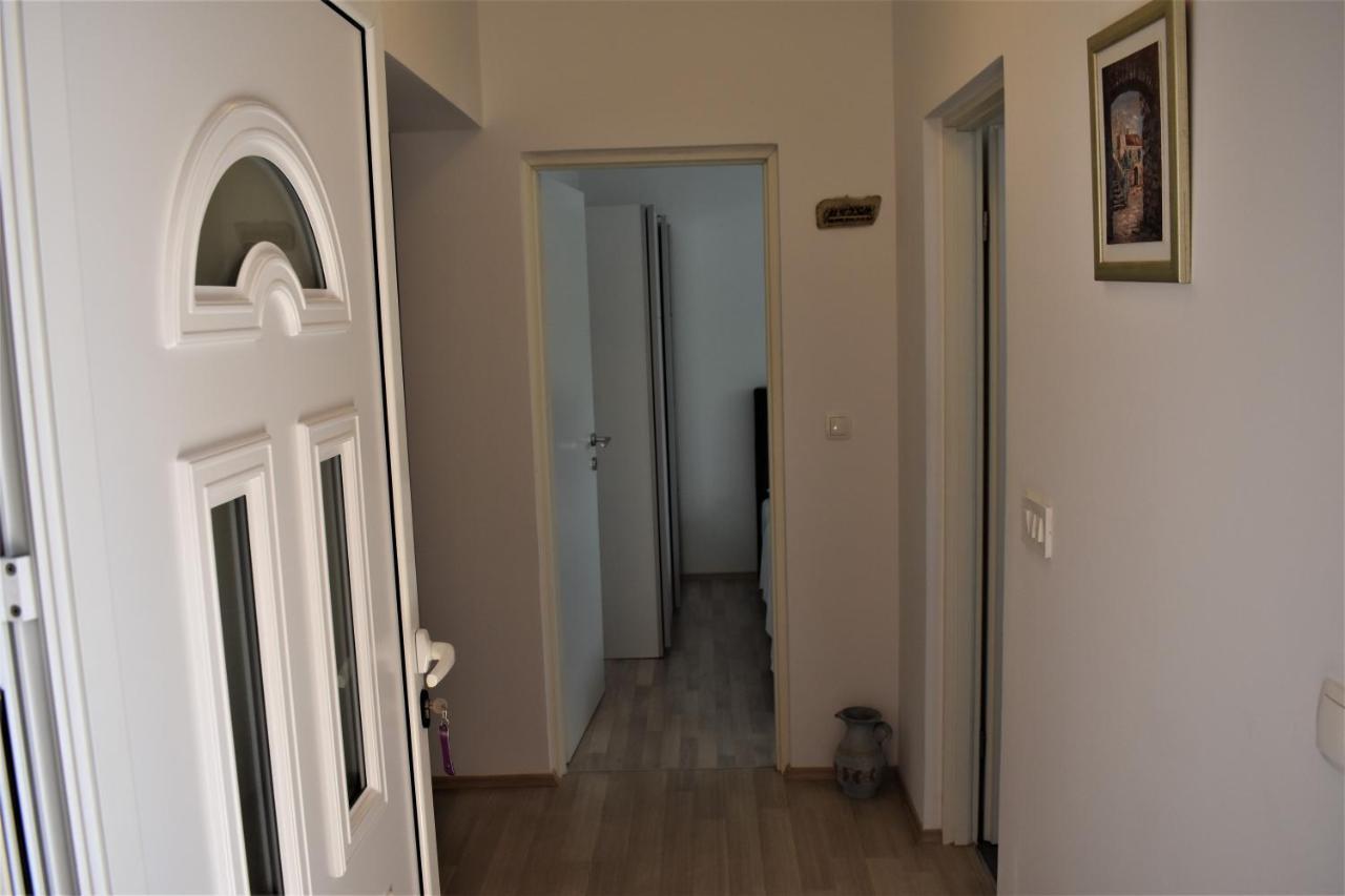 Apartman Dodo 扎达尔 外观 照片